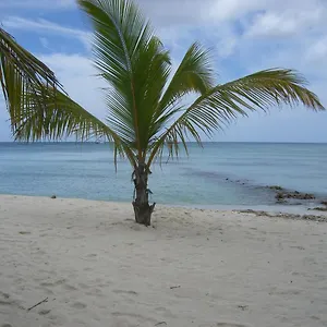 https://hotel-bayahibe.comcaribbean.com